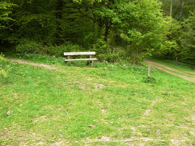 Bench at a footpath junction