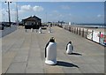 Penguins on the promenade, Coatham