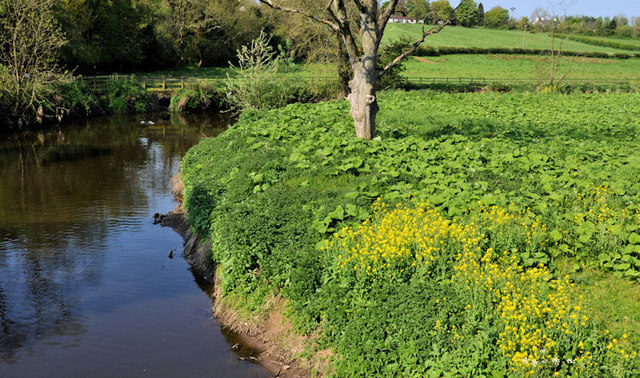 The River Lagan At The Drum Bridge 3 © Albert Bridge Geograph Ireland