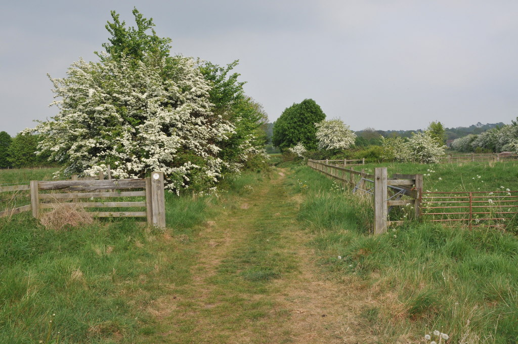 Wychavon Way Approaching Rous Lench © Philip Halling Cc By Sa20