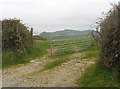 Open gate to a field