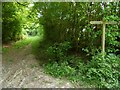 Path and bridleway junction near Plaistow