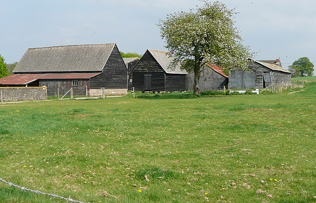 Lower Farm