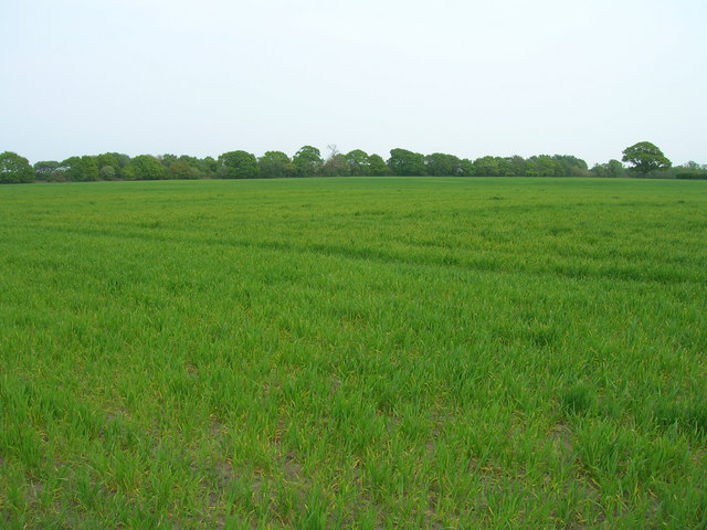 Farmland near Langwith Lodge