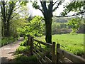 Lane near Glazebrook