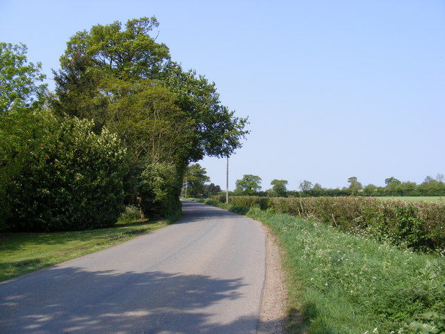 Button's Road