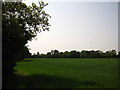 Field between Tuddenham and Culpho