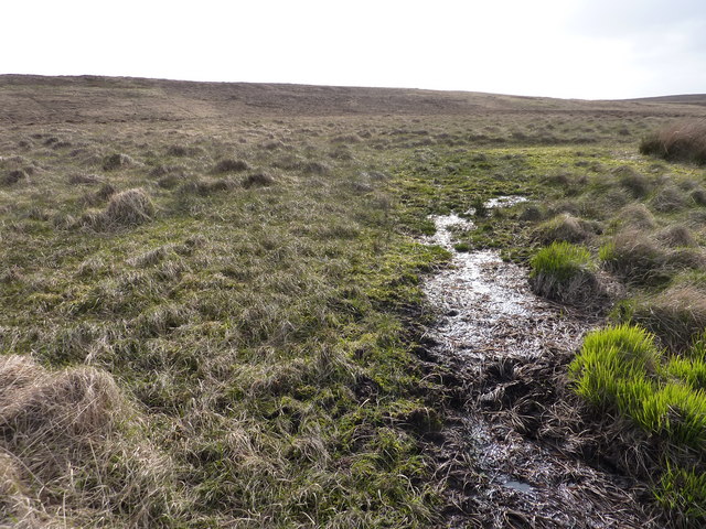 A really wet bit of bog in the moor © Peter Aikman cc-by-sa/2.0 ...