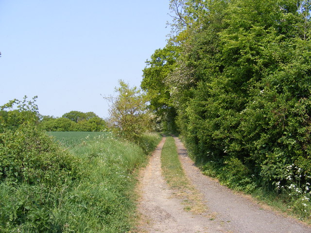 Footpath to The Gull, B1119 Saxmundham Road & Grove Road