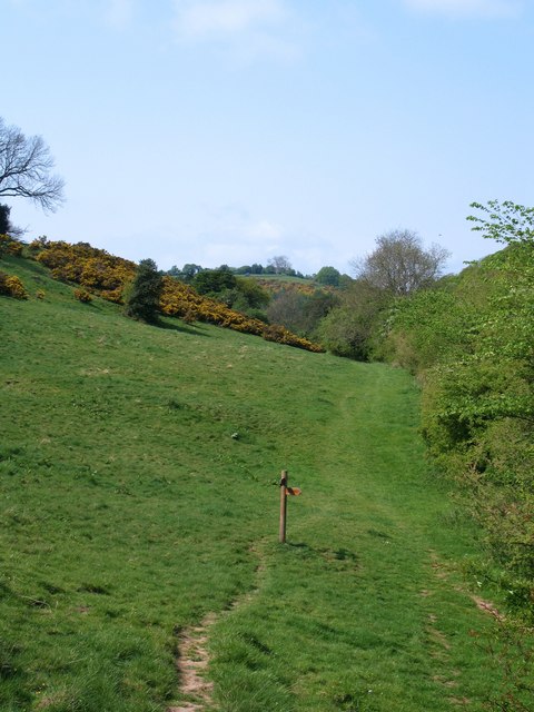 Path Junction Near Oldstead © Gordon Hatton Geograph Britain And Ireland 4270