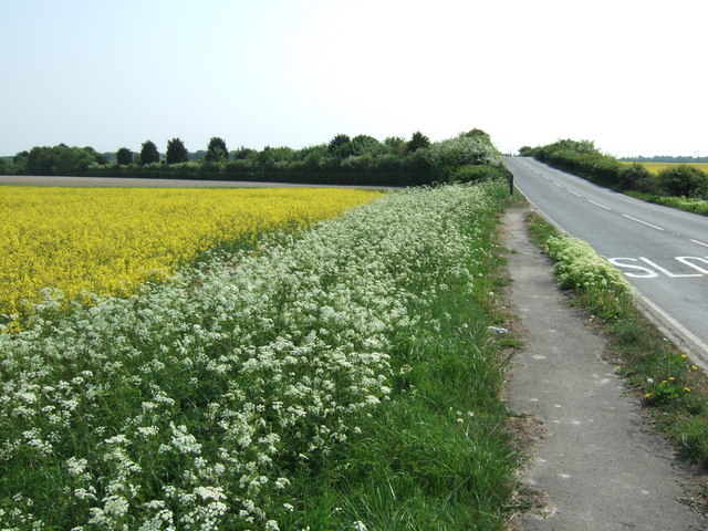 Newmarket Road near Burwell