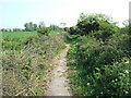 Footpath near Halfway House