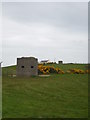 Concrete pillboxes at Tyrella South