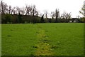 Footpath across the field