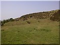 Clee Hill Quarry Land