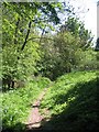 Bridleway down to the beck