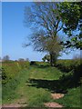 Bridleway off Deighton Lane