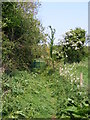 Footpath to Bruisyard Road