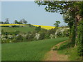 SP2487 : Field edge near Hill Farm by Andrew Hill