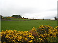 Fields on the south slope of Slievehanny