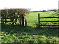 Hand gate near New Hinkle Plantation