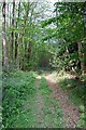 Entrance to Crowhurst Wood