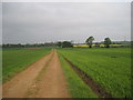 Farm  Track  west  of  Barnburgh  Grange