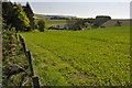 Upper Pitlochie Farm from Leden Urquhart Road