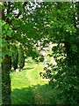 Trackbed of the Holt to Patney railway, Devizes (1 of 2)