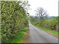 Country road near Longrigg