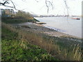 Bay on the Thames at low tide