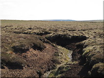 NY7647 : Cleugh on Hesleywell Moor by Mike Quinn