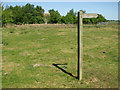 Footpath sign south of Tinker