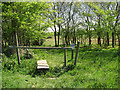 Stile on footpath leading onto Walberswick Common