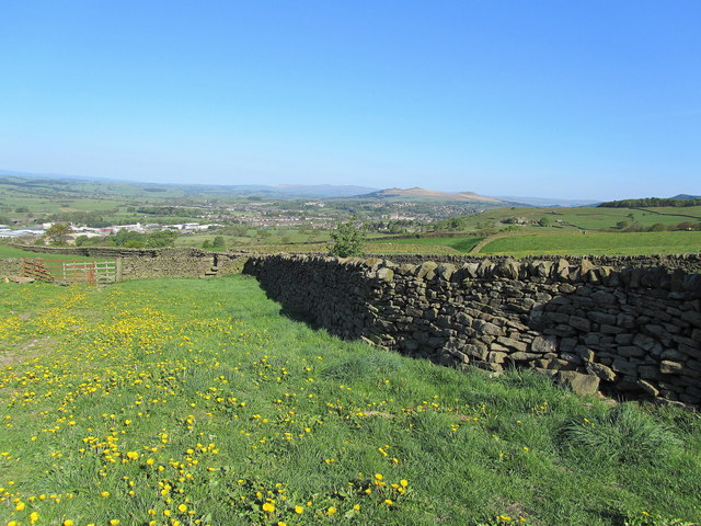 Pastures near High Bradley