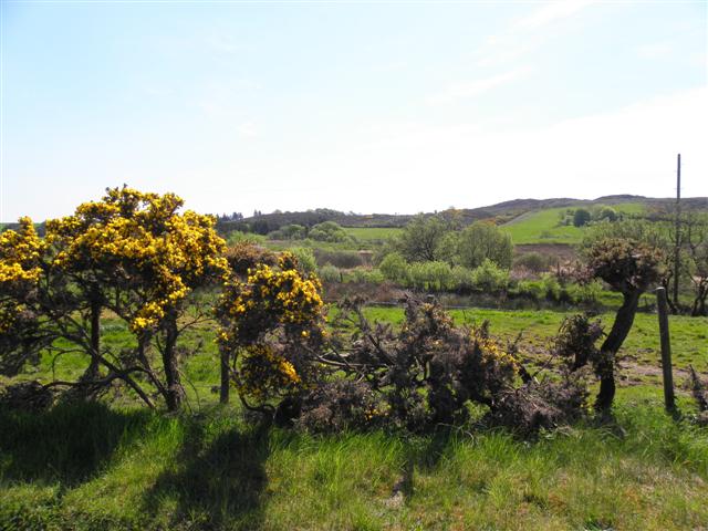 Evishanoran, Pomeroy © Kenneth Allen :: Geograph Ireland