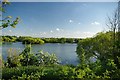 Lake at Stanford Warren