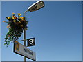 Hall Road Station Sign with hanging basket