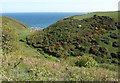 Valley above Pine Haven