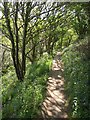 Path to Port Isaac