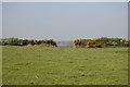 On the footpath from Tremenhere to Grugwith 