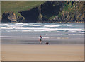 B9836 : Man and dog, Tramore Strand by Rossographer