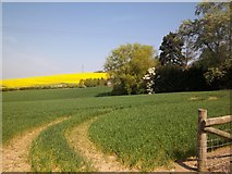 SP1744 : Warwickshire farmland by Michael Dibb