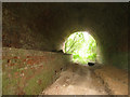SU6951 : Inside Little Tunnel Bridge by Mr Ignavy