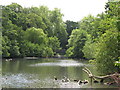 The lake in Kelsey Park (7)