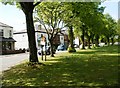 Houses at Roe Green