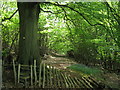 TQ6438 : Stile in Little Sandhurst Wood by David Anstiss