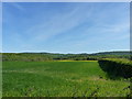 Farmland east of Belswardyne Farm