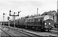 NB Loco Bo-Bo Diesel at Harringay West