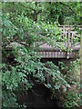 Footbridge over The Beck south of Cresswell Road, BR3